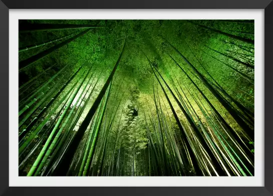 Forêt de bambous à kyoto - tableau japonisant