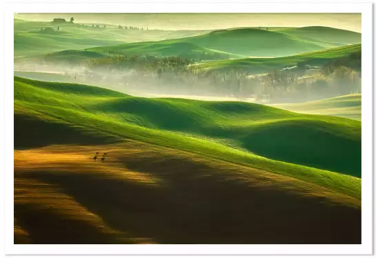 Collines brumeuses - poster nature