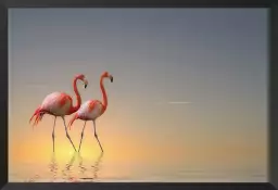 Flamands - tableaux oiseaux colorés