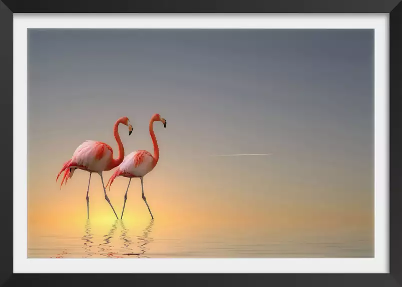 Flamands - tableaux oiseaux colorés