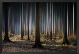 Forêt fantastique - tableau arbre