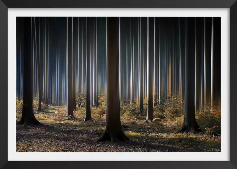 Forêt fantastique - tableau arbre