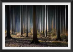 Forêt fantastique - tableau arbre