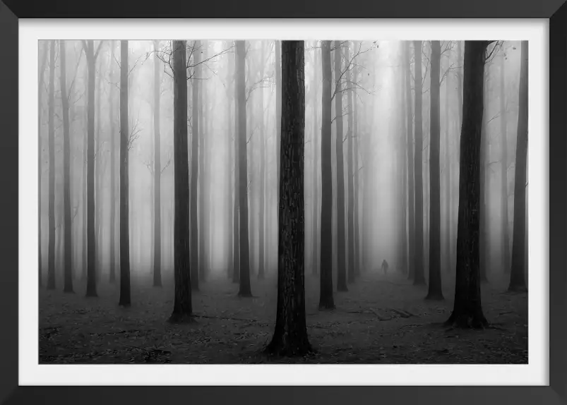 Foggy weather - tableau foret