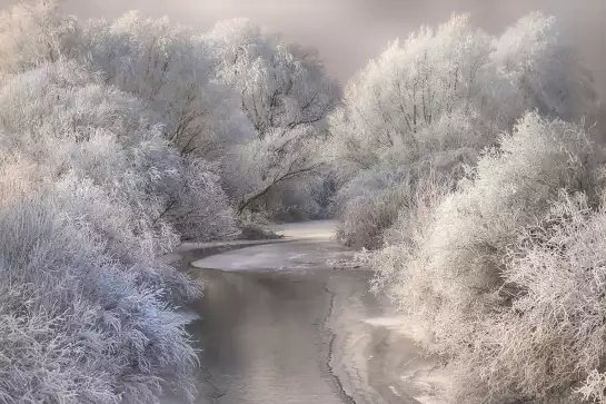 Winter song - tableau nature