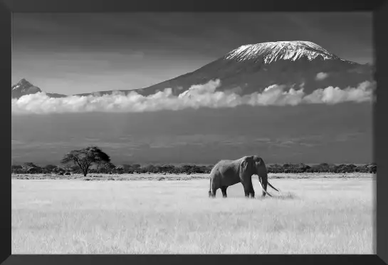 Elephant et kilimanjaro - tableau eléphant