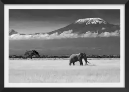 Elephant et kilimanjaro - tableau eléphant