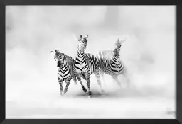 Racing stripes - poster animaux