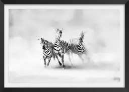 Racing stripes - poster animaux