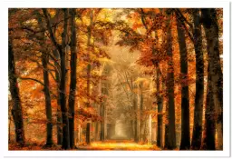 Magie de l' automne - tableau arbre