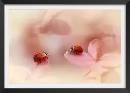 Petites coccinelles - affiche romantique