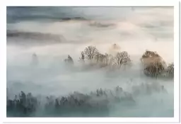 Brouillard hivernal - tableau foret