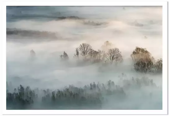 Brouillard hivernal - tableau foret