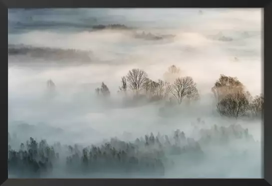 Brouillard hivernal - tableau foret