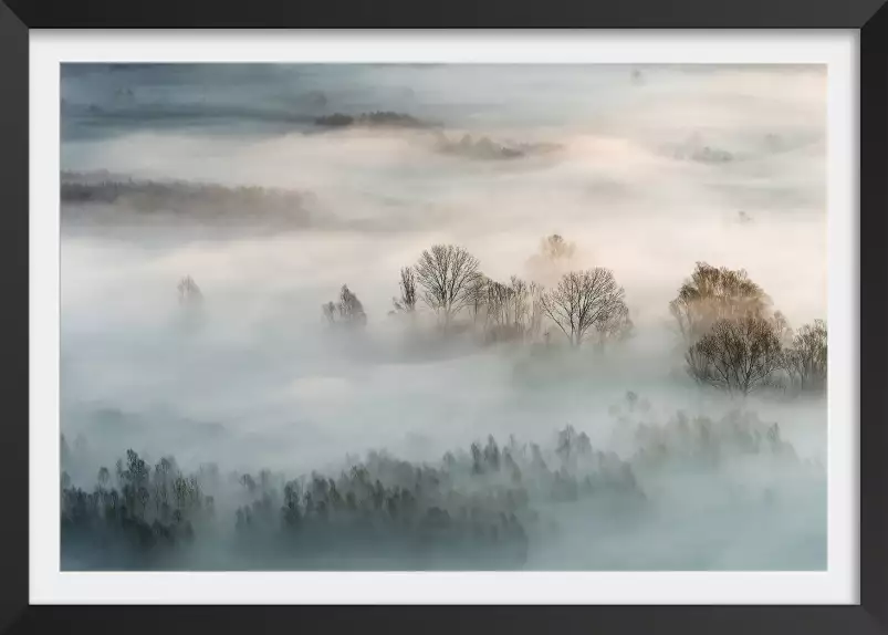 Brouillard hivernal - tableau foret