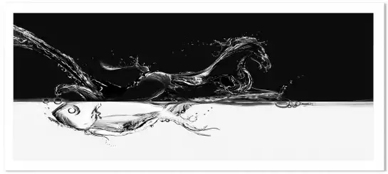Cheval au galop - tableau noir et blanc abstrait