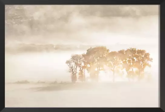 Terre du vent - tableau arbre