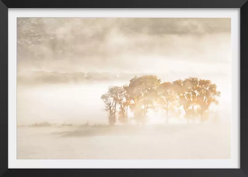 Terre du vent - tableau arbre