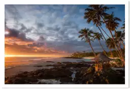 Paradis beach - poster palmiers