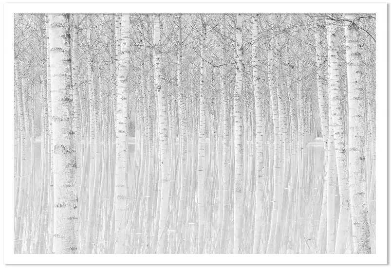 Perspective trees - tableau foret