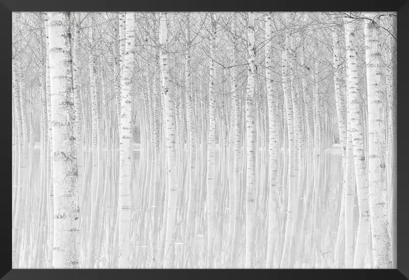 Perspective trees - tableau foret