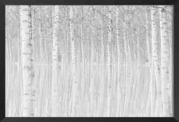 Perspective trees - tableau foret