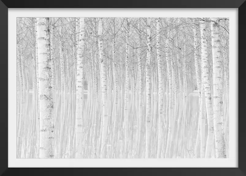 Perspective trees - tableau foret