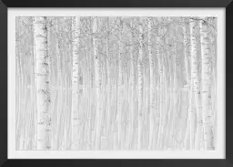 Perspective trees - tableau foret