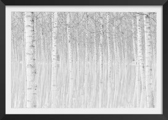 Perspective trees - tableau foret