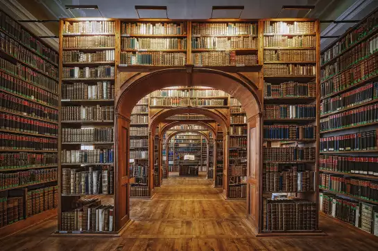 Librairie des sciences - tableau contemporain