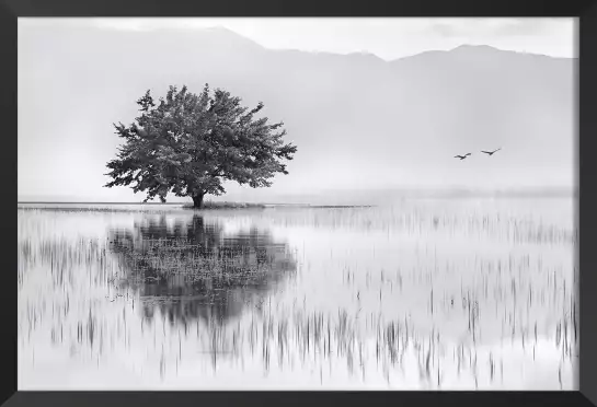 Reflets d'eau - tableaux foret