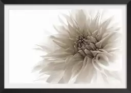 Dahlia en monochrome - poster fleur