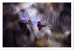 Rencontre violette - poster fleur