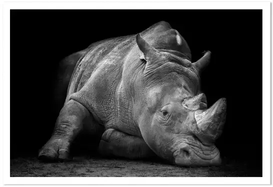 Strong rhino - poster animaux