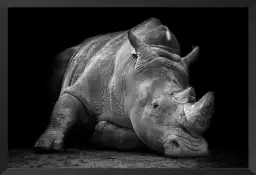 Strong rhino - poster animaux