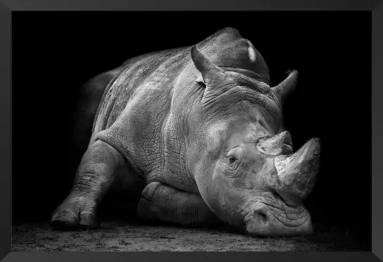 Strong rhino - poster animaux