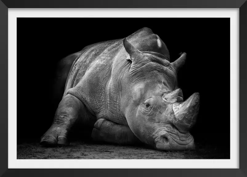 Strong rhino - poster animaux