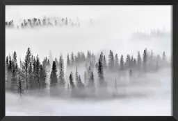 Brume sur les cîmes - tableau paysage foret