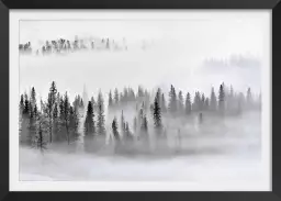 Brume sur les cîmes - tableau paysage foret