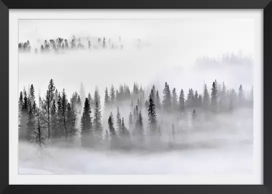 Brume sur les cîmes - tableau paysage foret