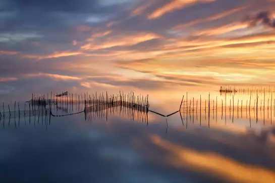 Coucher de soleil sur l’Albufera - tableau bord de mer