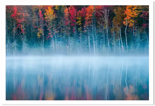 Lac au matin - paysage nature