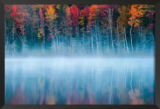 Lac au matin - paysage nature