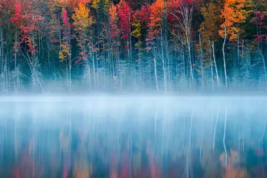 Lac au matin - paysage nature