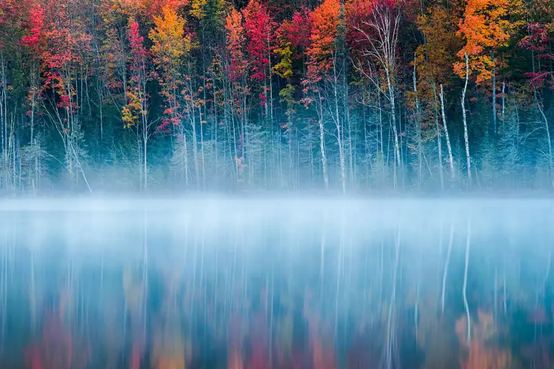 Lac au matin - paysage nature