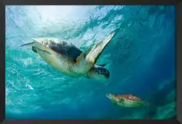 Tortues dans la vague - poster fond marin