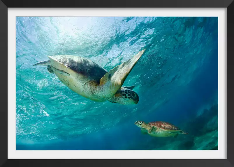 Tortues dans la vague - poster fond marin