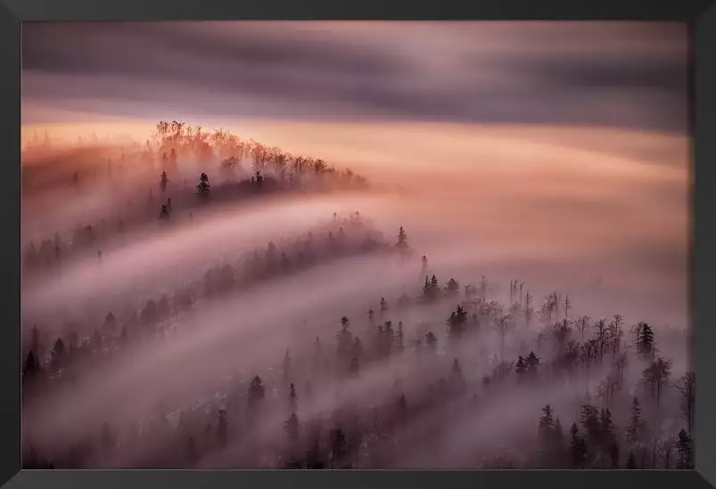 Ciel violet au matin - tableaux foret