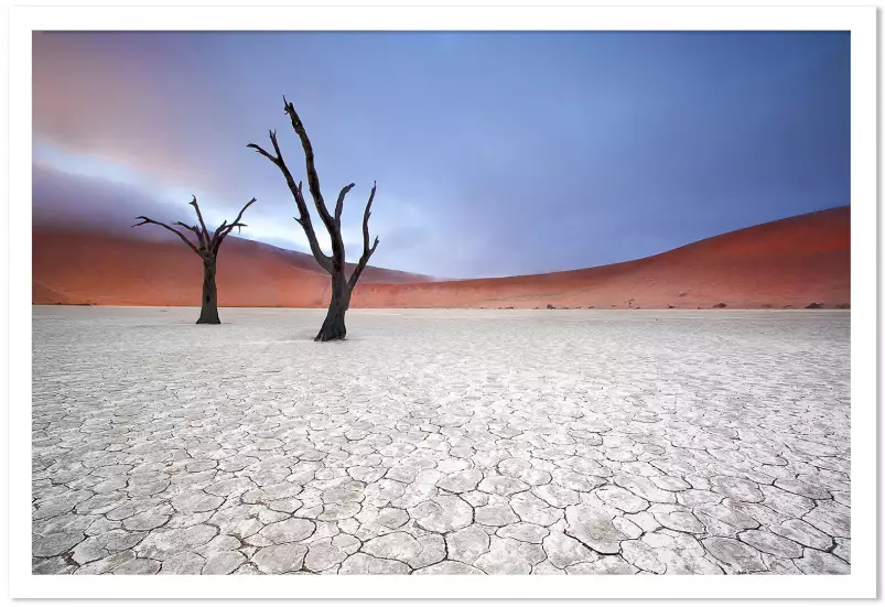 Namibie, le deadvlei - tableau paysage desert