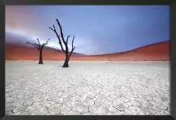 Namibie, le deadvlei - tableau paysage desert